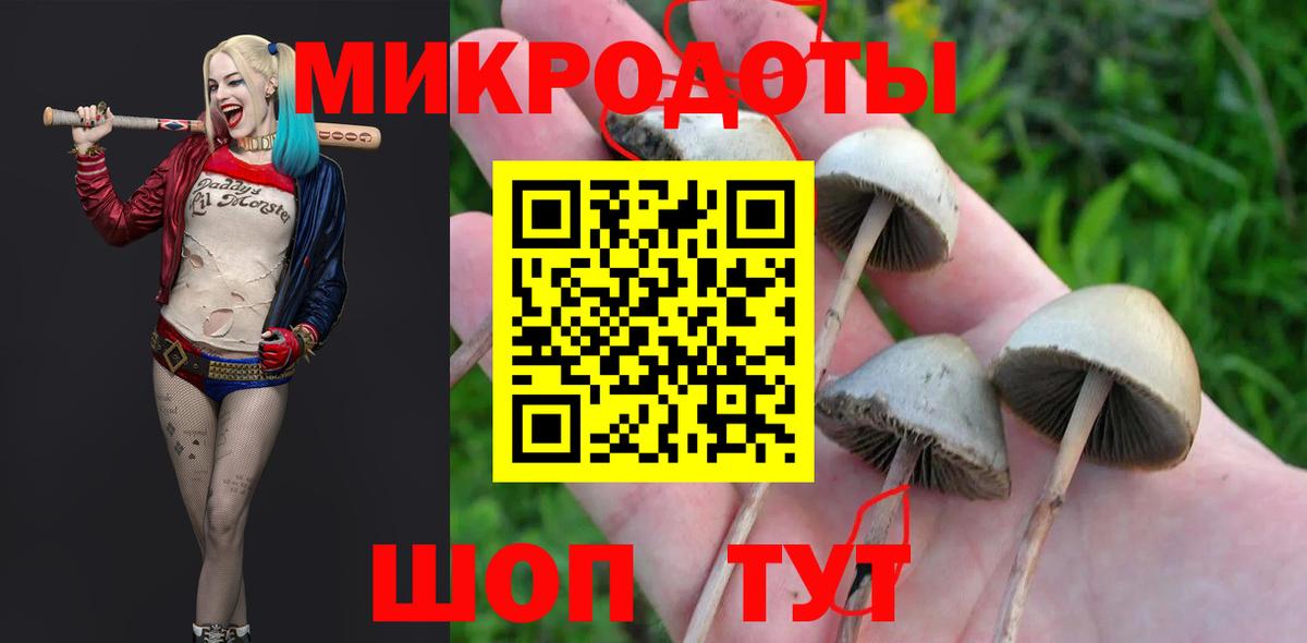 Псилоцибиновые грибы мицелий Стерлитамак
